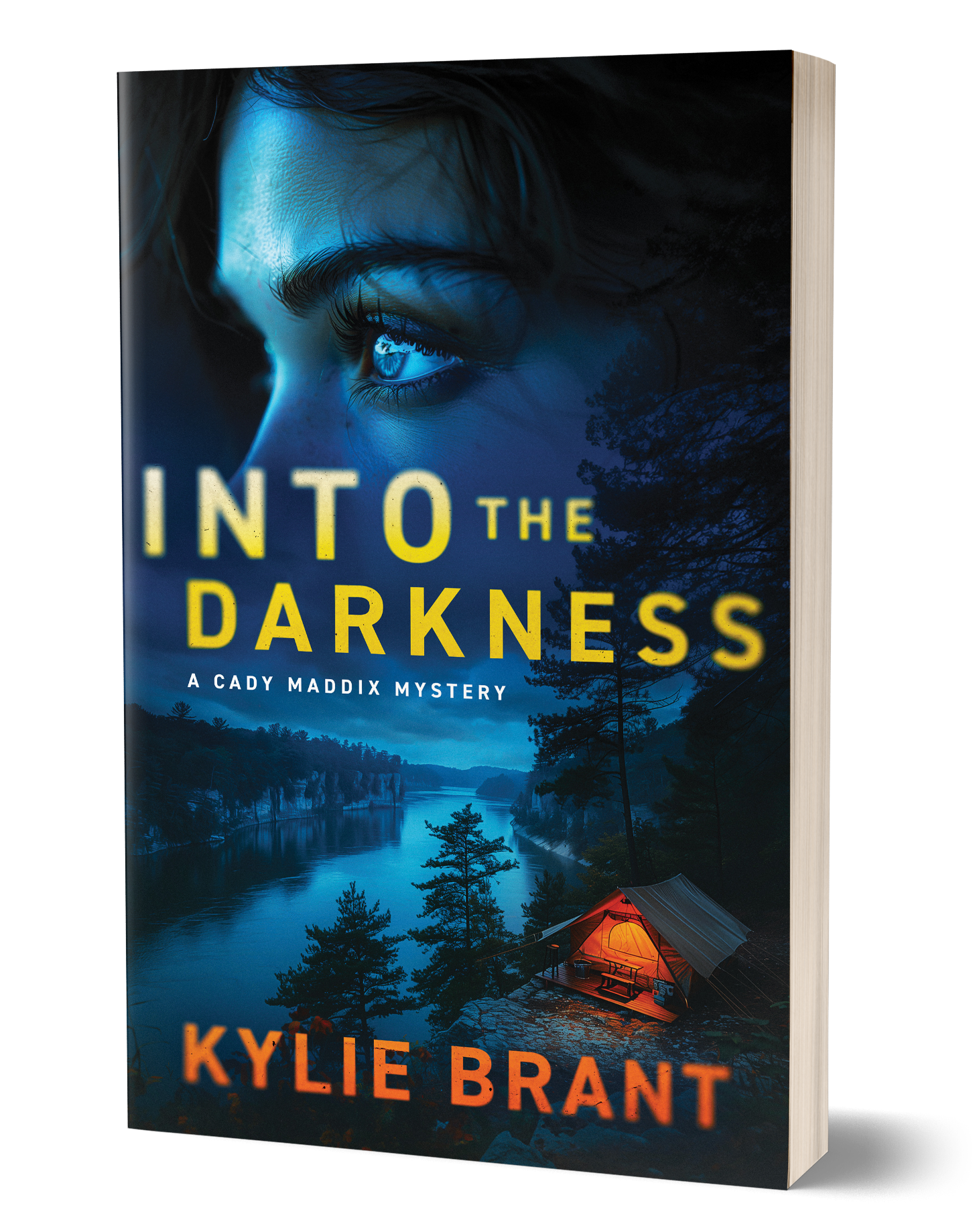 Into The Darkness by Kylie Brant